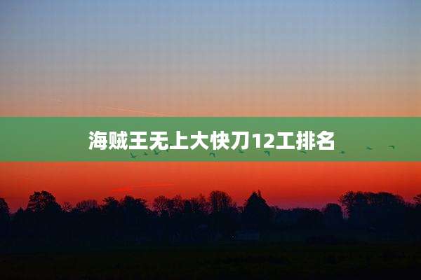 海贼王无上大快刀12工排名