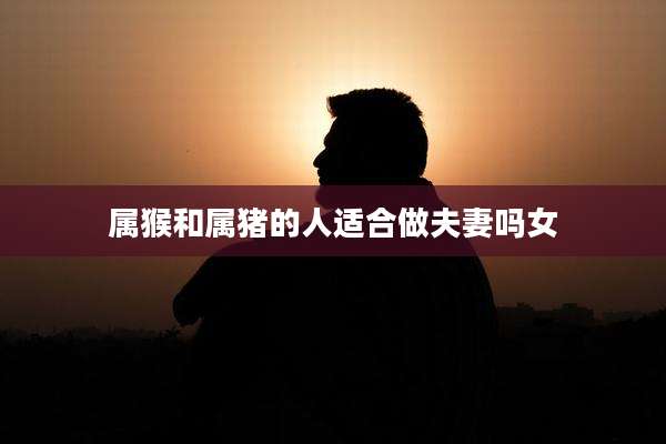 属猴和属猪的人适合做夫妻吗女
