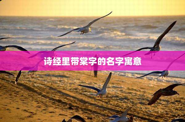 诗经里带棠字的名字寓意
