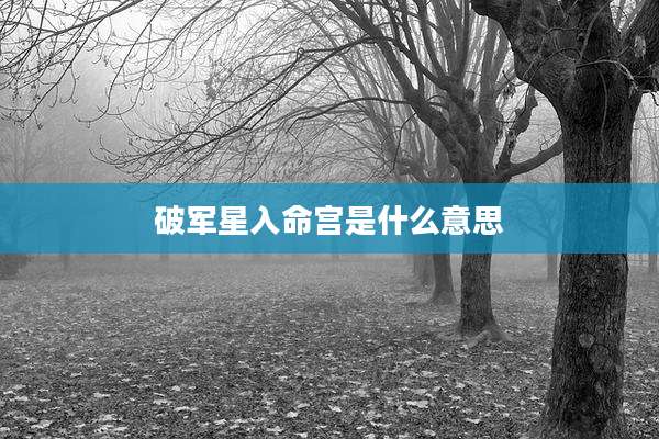 破军星入命宫是什么意思