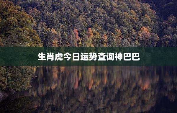 生肖虎今日运势查询神巴巴