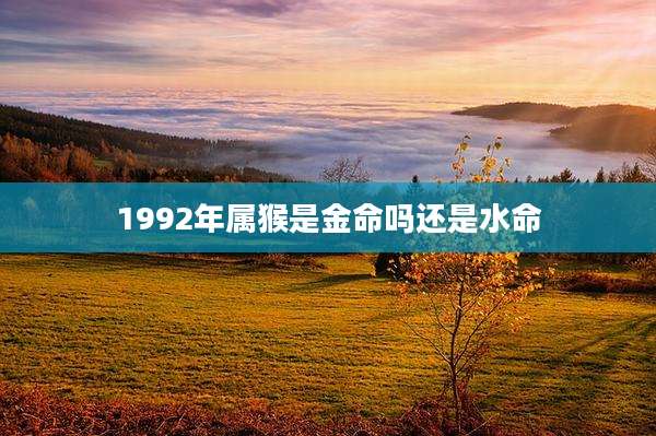 1992年属猴是金命吗还是水命