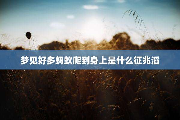 梦见好多蚂蚁爬到身上是什么征兆滔