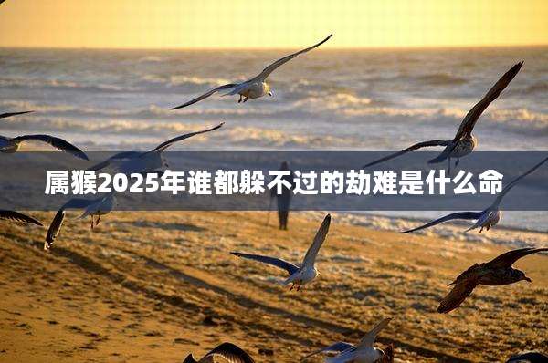 属猴2025年谁都躲不过的劫难是什么命