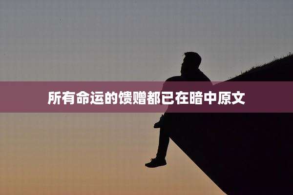 所有命运的馈赠都已在暗中原文
