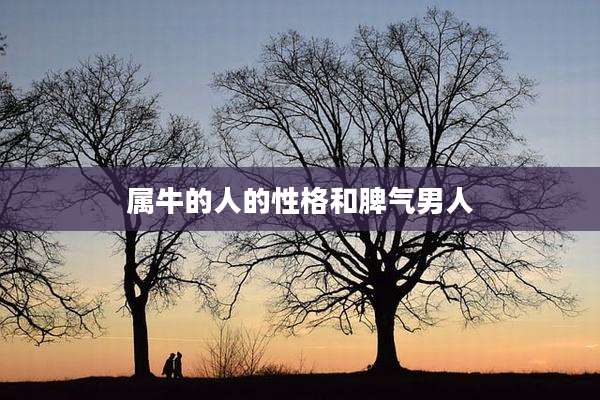 属牛的人的性格和脾气男人