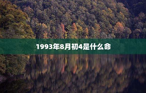 1993年8月初4是什么命