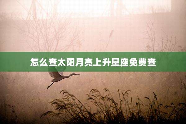 怎么查太阳月亮上升星座免费查