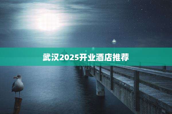 武汉2025开业酒店推荐