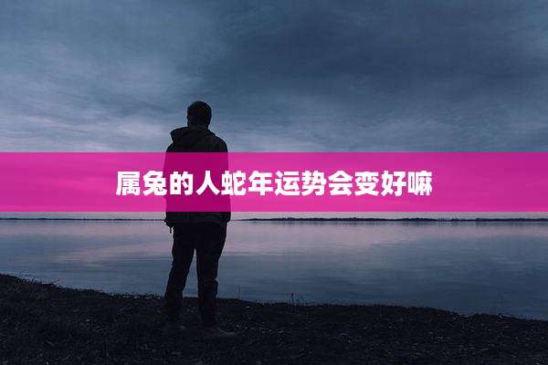 属兔的人蛇年运势会变好嘛
