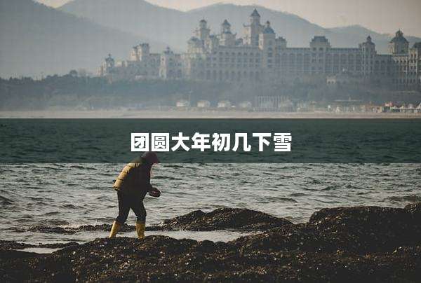 团圆大年初几下雪