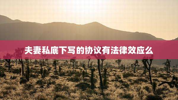 夫妻私底下写的协议有法律效应么