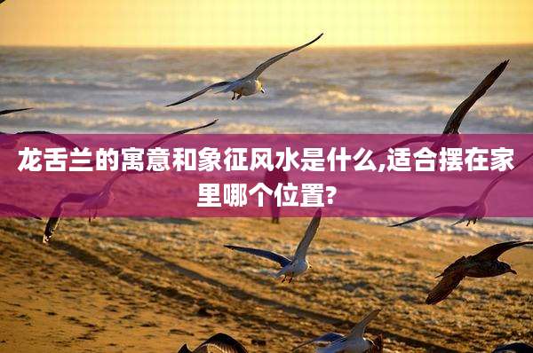龙舌兰的寓意和象征风水是什么,适合摆在家里哪个位置?