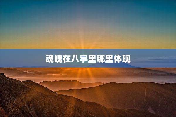 魂魄在八字里哪里体现