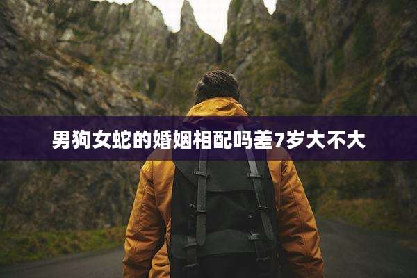 男狗女蛇的婚姻相配吗差7岁大不大