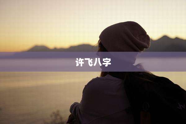 许飞八字