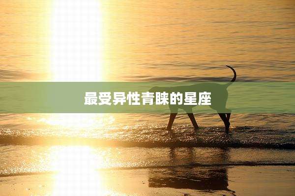 最受异性青睐的星座