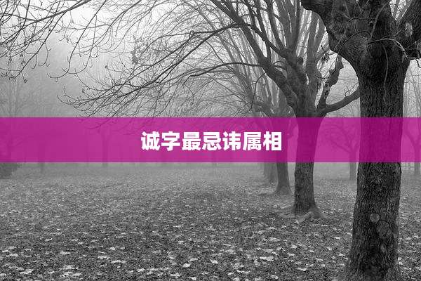 诚字最忌讳属相
