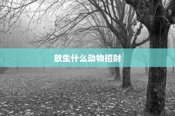 放生什么动物招财