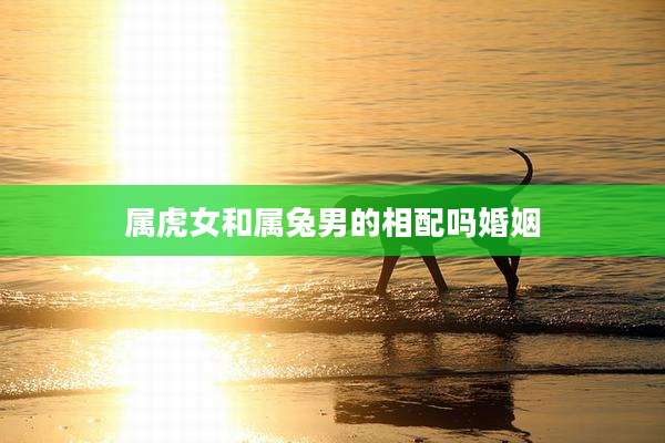 属虎女和属兔男的相配吗婚姻
