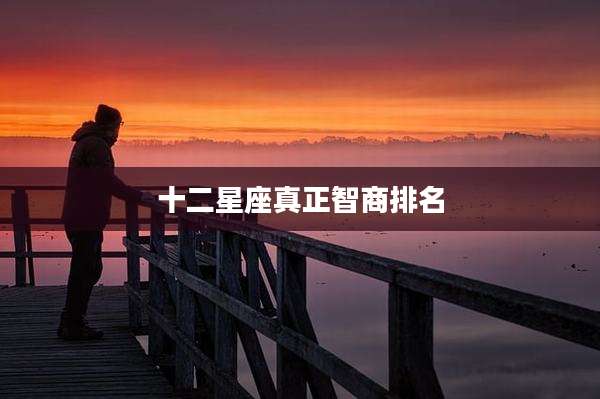 十二星座真正智商排名
