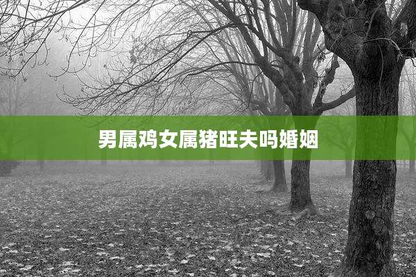 男属鸡女属猪旺夫吗婚姻