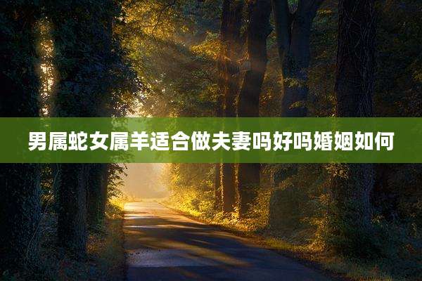 男属蛇女属羊适合做夫妻吗好吗婚姻如何