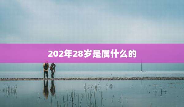 202年28岁是属什么的