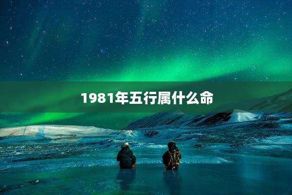 1981年五行属什么命