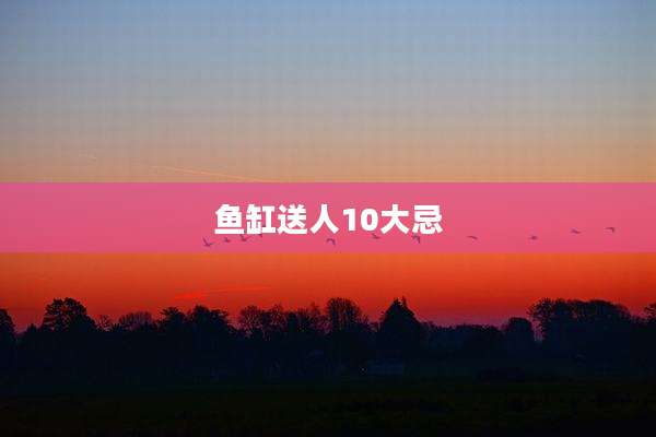 鱼缸送人10大忌