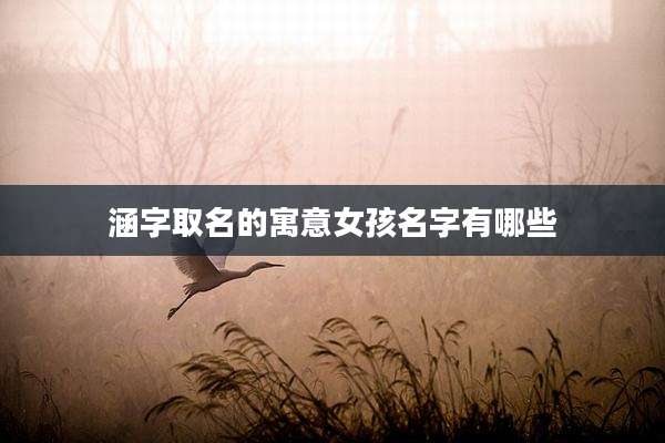 涵字取名的寓意女孩名字有哪些