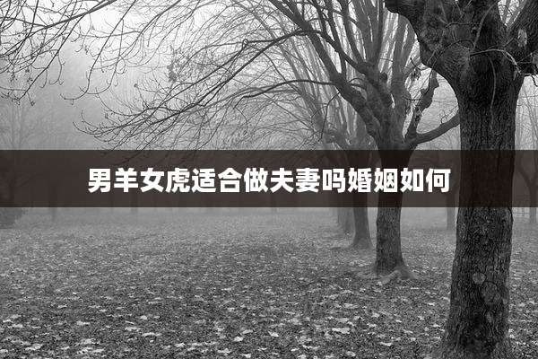 男羊女虎适合做夫妻吗婚姻如何