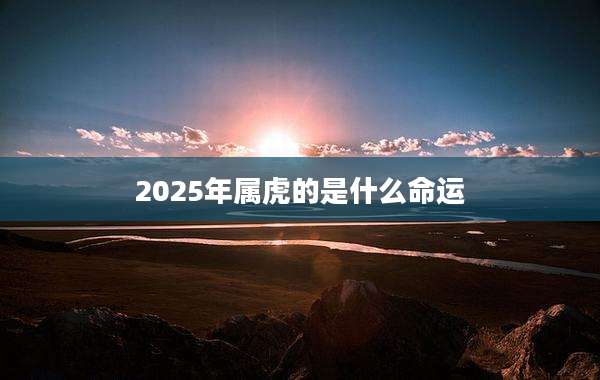 2025年属虎的是什么命运