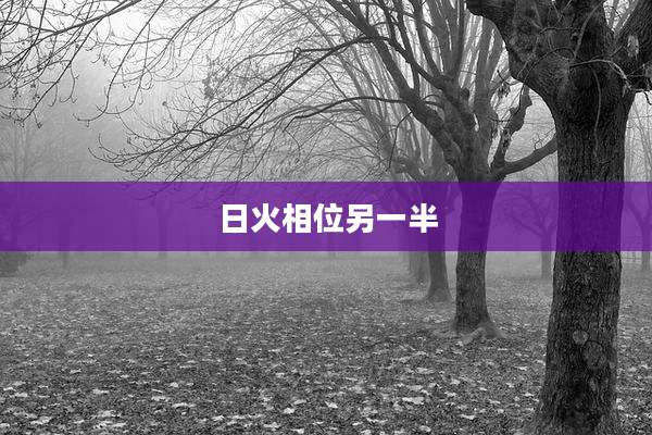 日火相位另一半