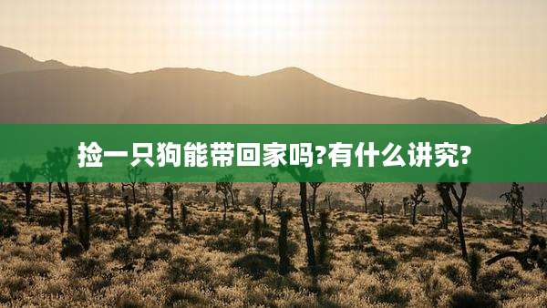 捡一只狗能带回家吗?有什么讲究?