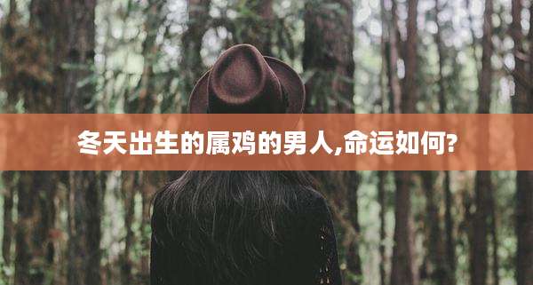 冬天出生的属鸡的男人,命运如何?