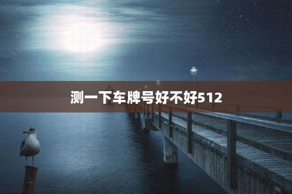 测一下车牌号好不好512