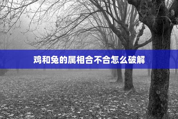 鸡和兔的属相合不合怎么破解