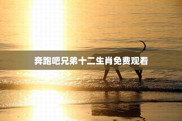 奔跑吧兄弟十二生肖免费观看