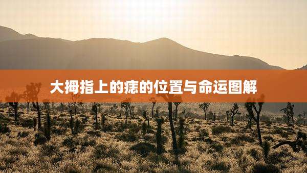 大拇指上的痣的位置与命运图解