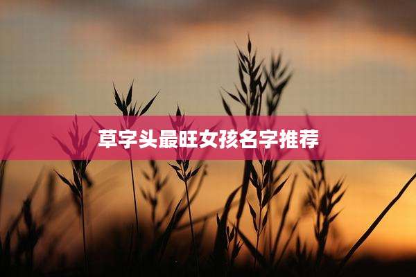 草字头最旺女孩名字推荐