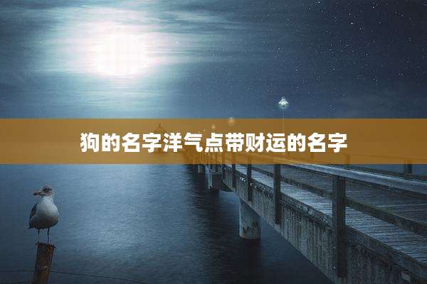 狗的名字洋气点带财运的名字