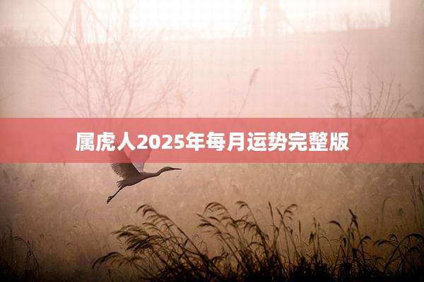 属虎人2025年每月运势完整版