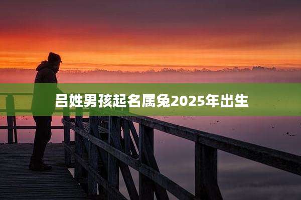 吕姓男孩起名属兔2025年出生