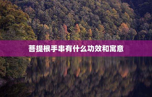 菩提根手串有什么功效和寓意