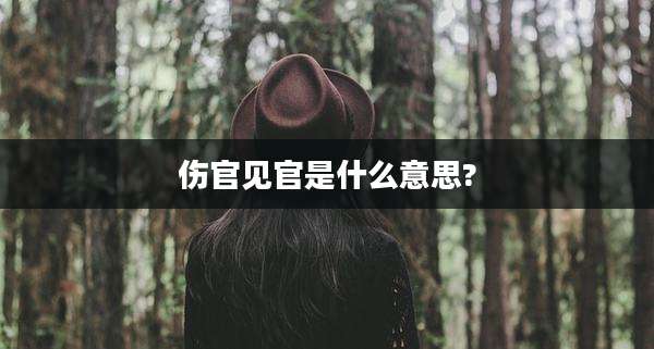 伤官见官是什么意思?