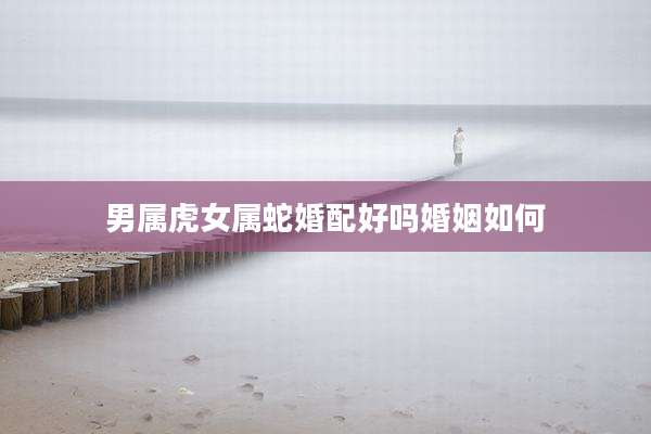 男属虎女属蛇婚配好吗婚姻如何