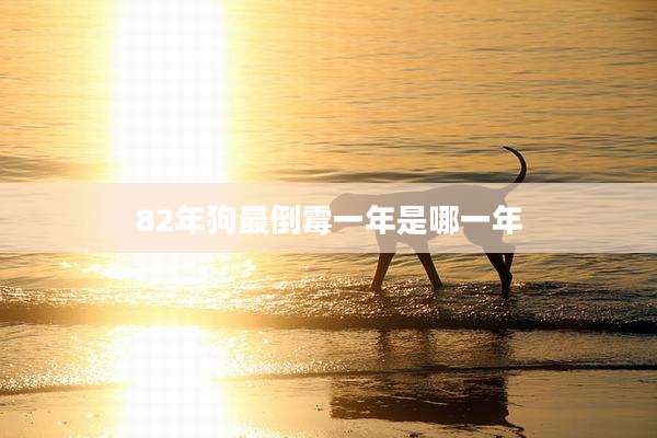 82年狗最倒霉一年是哪一年