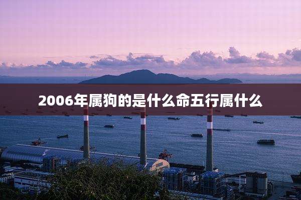 2006年属狗的是什么命五行属什么