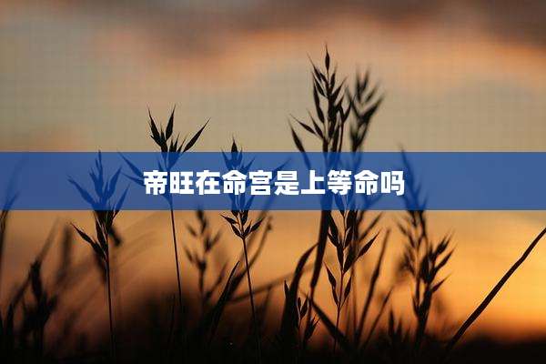 帝旺在命宫是上等命吗